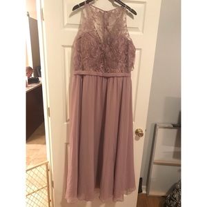 kennedy blue desert rose